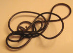 horsehair_worm_lauri