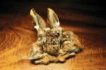 zec-maska-web