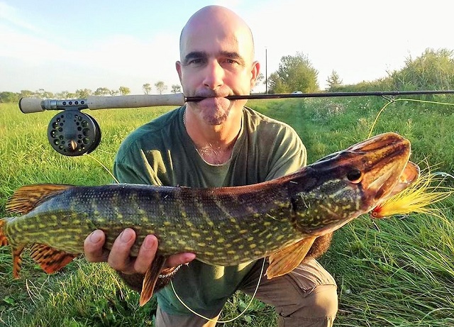 Štuka – Zdravko Cetić