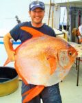Opah Lampris-guttatus
