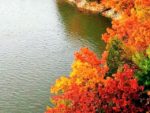 jezero i suma u jesen)