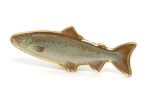 22539768_10214681054205718_4257016430036975047_n