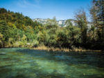 IMGP4668