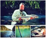 collage DH stapovi
