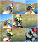 collage ispitivanje mulja