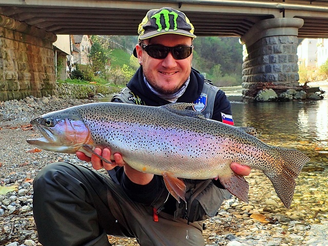 Šarenka 68cm iz Idrijce – Jure Osolin