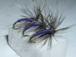 3-Grizzle-and-Purple-Spider-spiders-Trout-fly-_1