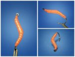 520ea6625801a080ccb4cce30b776cd2–fishing-tackle-fishing-lures