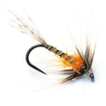 Bucktooth Callibaetis WH