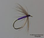 Snipe & Purple