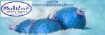 Srecna-nova-godina-web