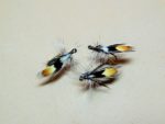 jassid caddis