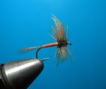orange-quill-16