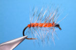 orange_asher