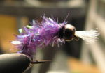 purple haze 8