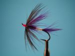 purple-spider