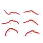 san juan worm