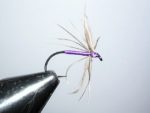 snipe-and-purple-fly