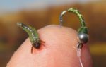 zebra-midge-nymph-B-6