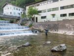 Lipnica Jovan 1