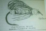 Patkova SM pupa Urban