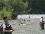 Sava Bohinjka