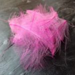 cdc_pink