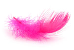 culton-marabou