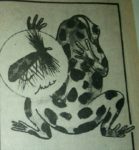 27849321_1724264477595285_1801019143_n