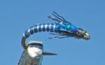 Juju-Baetis-Blue-2589