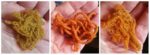 collage vunice