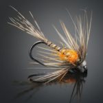 Bucktooth Callibaetis