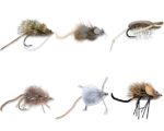 DDF_MOUSE_FLIES