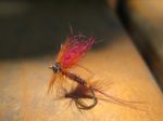 IMG_1968 web