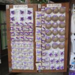 Lavanda