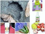 collage moljci