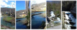 collage grab danas