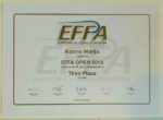 EFFA 1