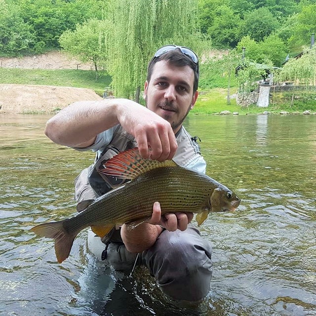 Lijepi lipljani iz Ribnika