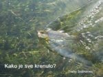 Naslovna-slika