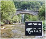 collage glava