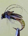 nagrađena pupa