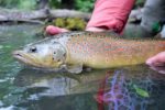 IMG-20180614-WA0032