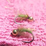 Kedis pupa 1 web