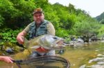 Rod #3, tippet 0.12, 65cm Soška Miha Žejn web