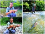 collage maric na gradcu