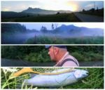 collage zeljko na vitunjcici