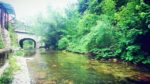 lipnica 2