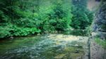 lipnica 3