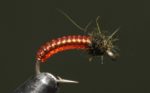 midge_larva_red
